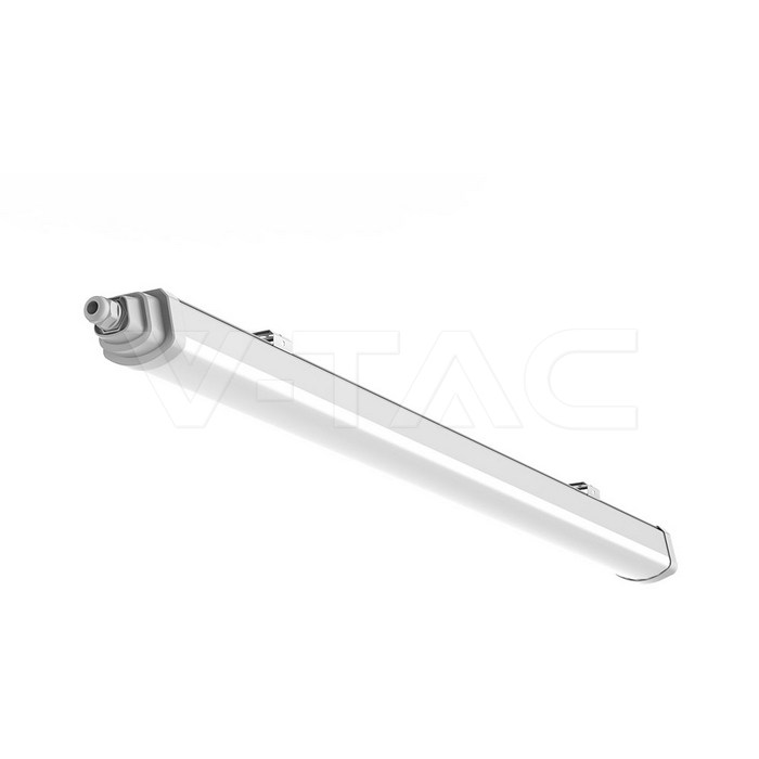 233876